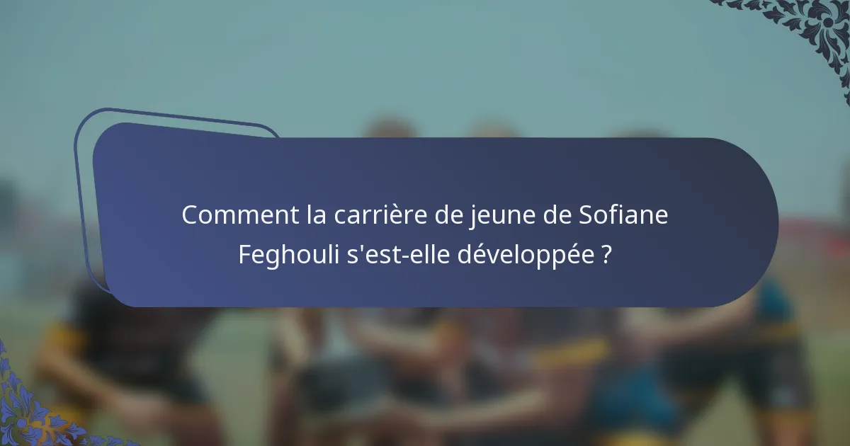 Comment la carrière de jeune de Sofiane Feghouli s'est-elle développée ?